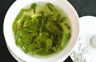 六安瓜片：名字的由来与特殊的绿茶地位